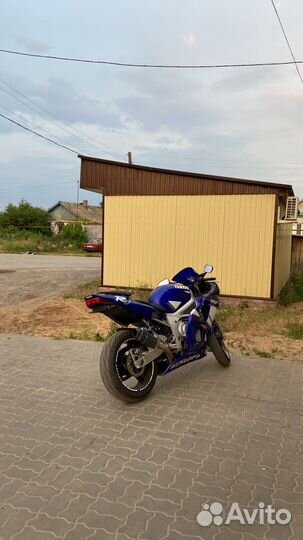 Yamaha yzf-r6