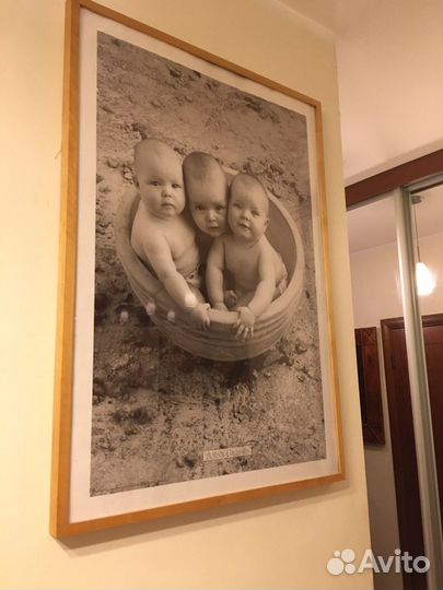 Художественая печать Энн Геддес