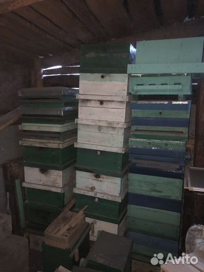 Инвентарь для пчеловодства