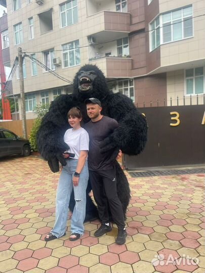 Белый Медведь / Панда / Кинг Конг / Ростовые куклы