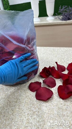 Лепестки роз