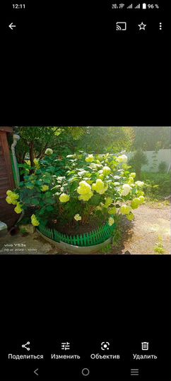 Комната 15 м² в 3-к., 2/2 эт.