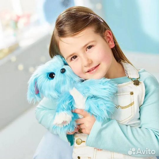 Пушистик потеряшка