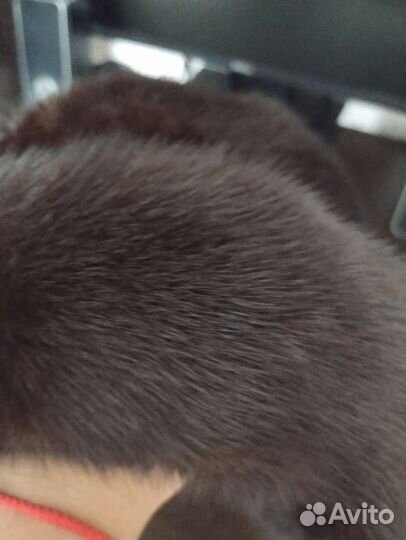 Шапка норковая черная