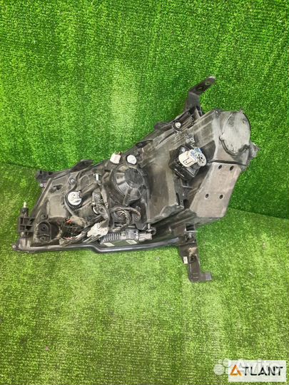 Фара передняя правая nissan fuga