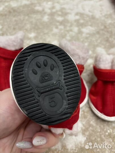 Ботинки для собак