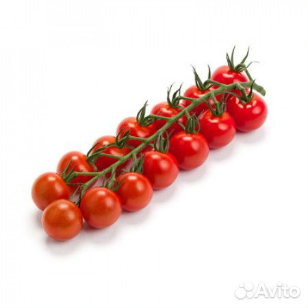 Семена Томата 