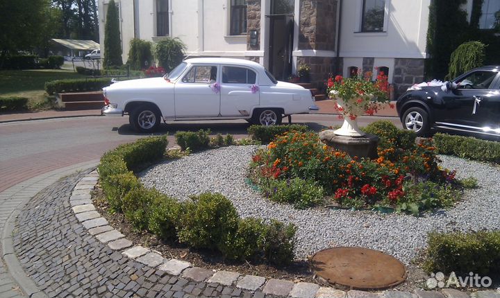 Свадьба, фотосессия, прогулки по городу на газ 21