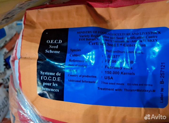 Лг 5377 — гибрид подсолнечника