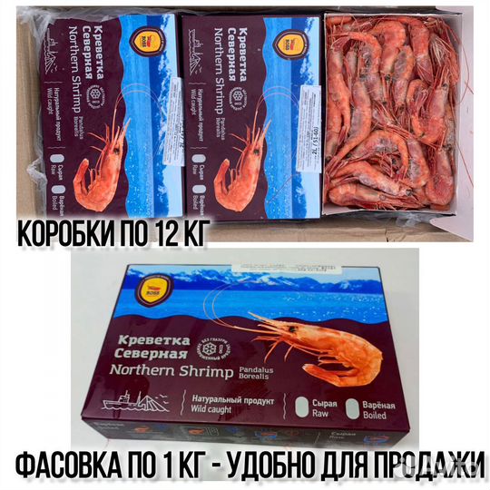 Креветка Ама Эби опт от поставщика/ свежий вылов