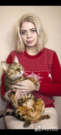 Зооняня, Передержка животных