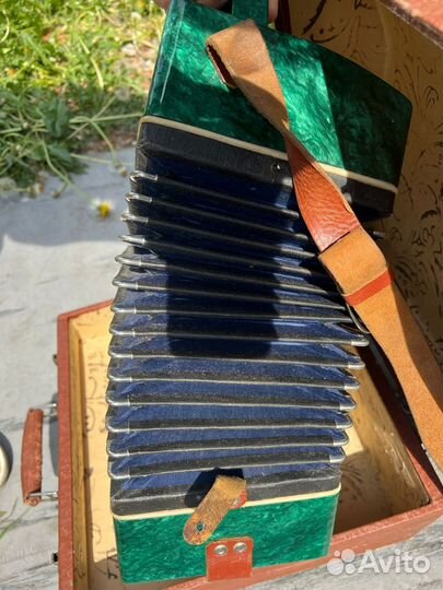 Гармонь Маричка