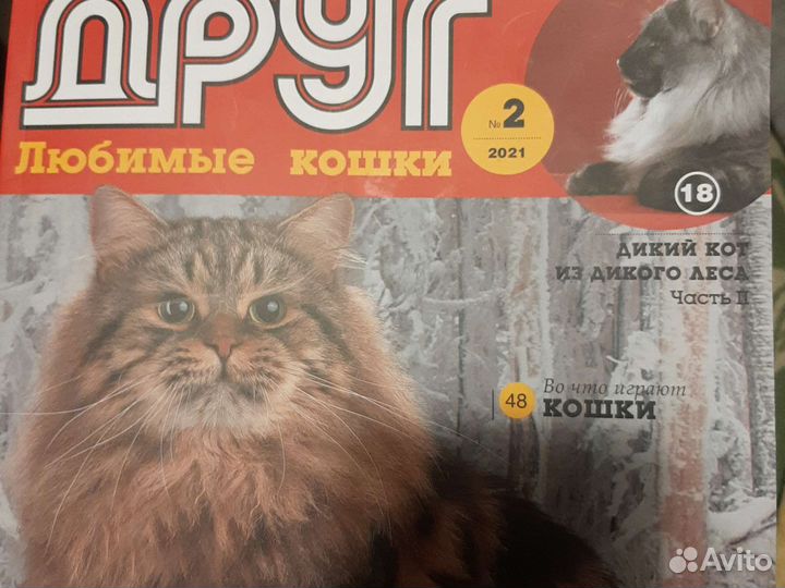 Журнал про кошек,Друг любимые кошки '