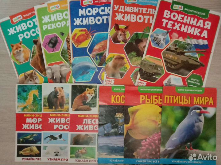 Книжки развивающие