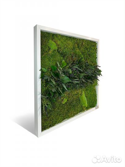 Картина на стену из мха и растений Art Gro