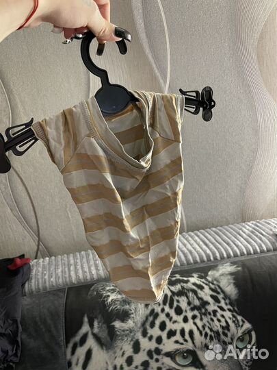 Одежда для котят и собак маленькой породы