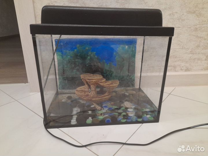 Аквариум 25л