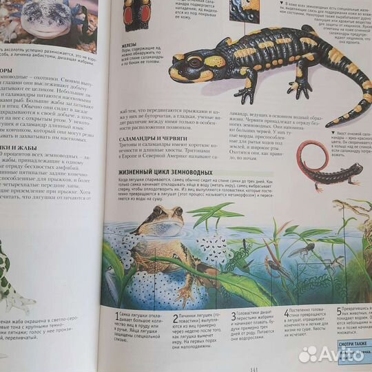 Большая энциклопедия школьника