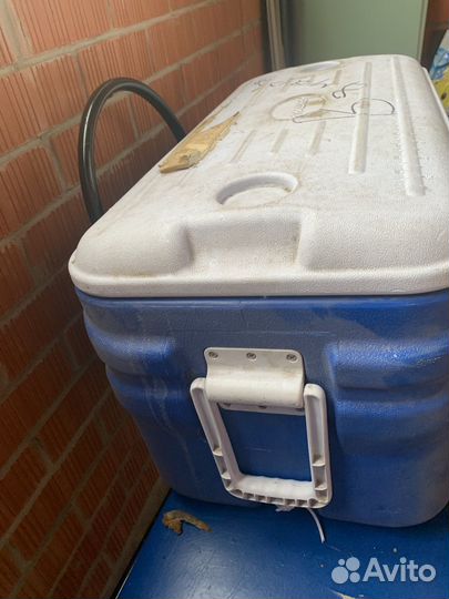 Термоконтейнер арктика