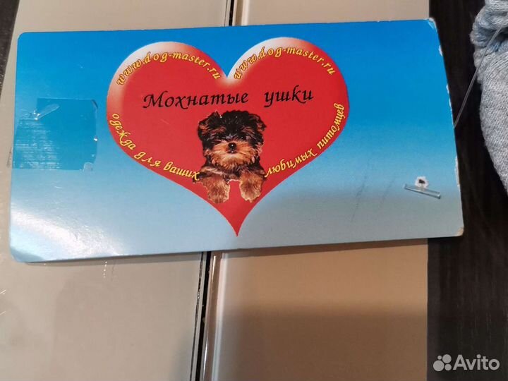 Одежда для маленькой собаки