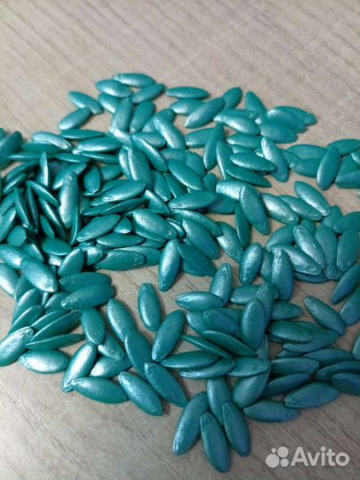 Самый урожайный гибрид огурца из Испании Бэрд