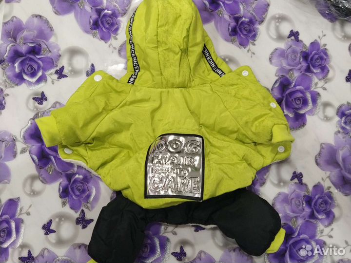 Одежда для щенков (Йорк)