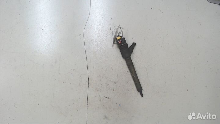 Форсунка топливная Opel Corsa D, 2009