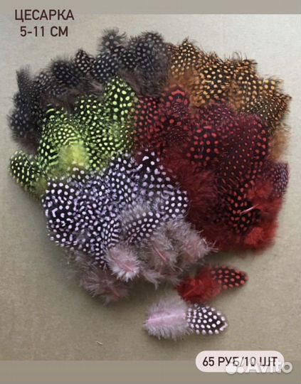 Перья цесарки декоративные для творчества