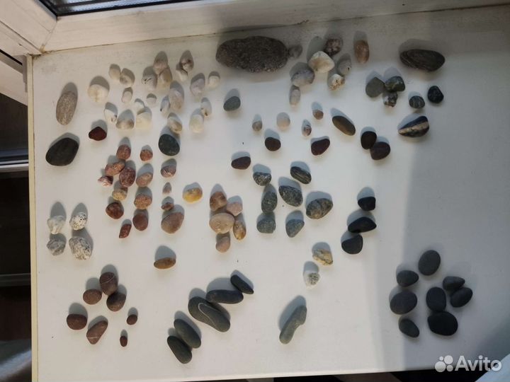 Камни с берега Черного моря у г. Сочи (115 шт.)