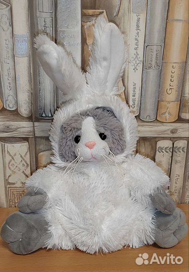 Символ 2023 года кролик кот