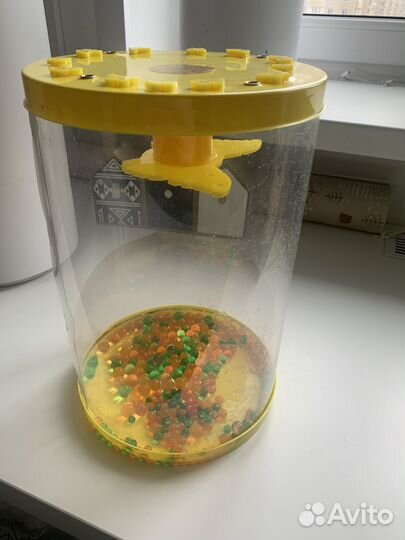 Тропикарий для бабочек