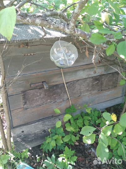 Продам ульи для пчел б\у