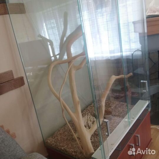 Террариум для рептилий