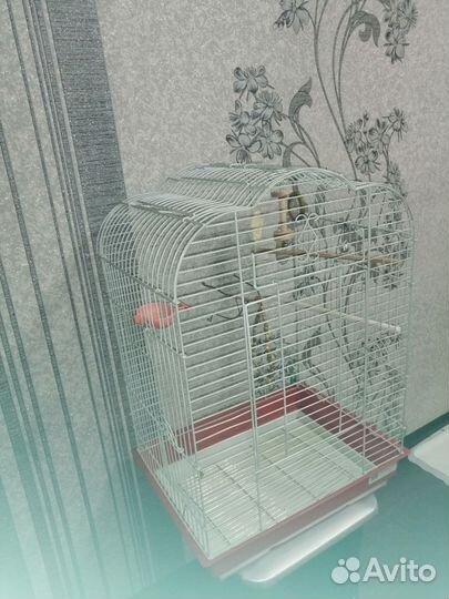 Клетка для попугая