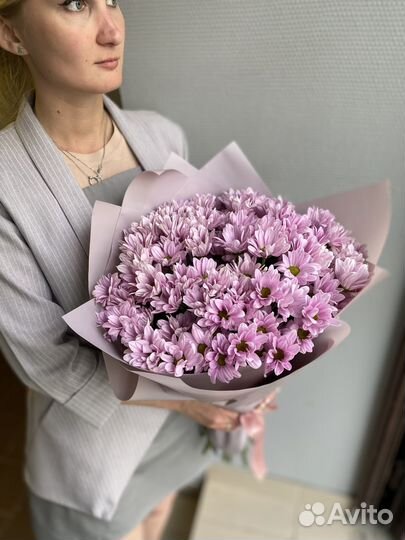 Хризантема кустовая