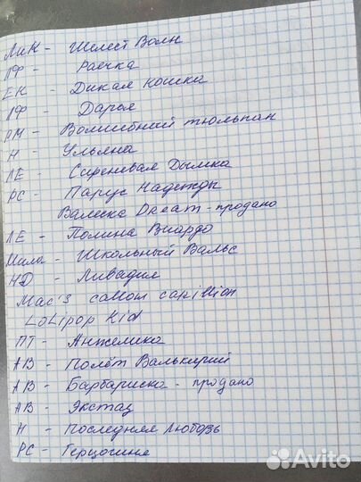 Детки сортовых фиалок