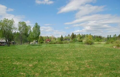 Участок 1,2 га (СНТ, ДНП)