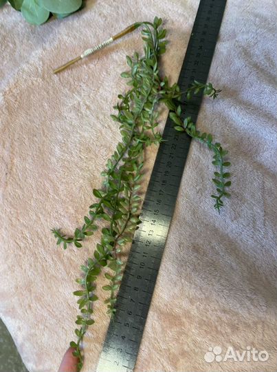 Искусственные цветы исскуственная трава зелень