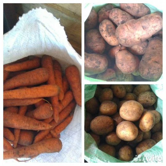 Картофель