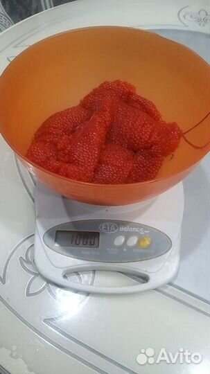 Форель охлажденная под заказ