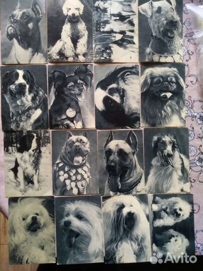 Открытки советские СССР почтовые карточки. 60шт