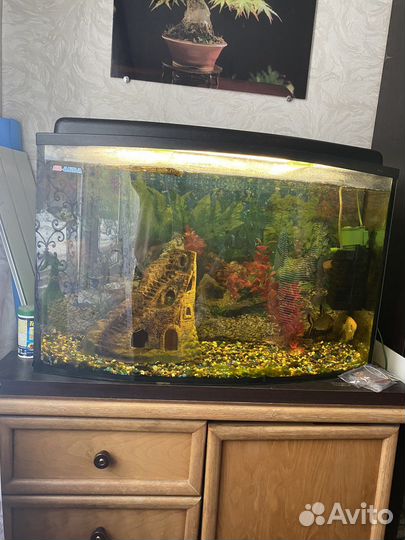 Аквариум
