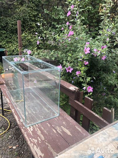 Продаю аквариум в идеале