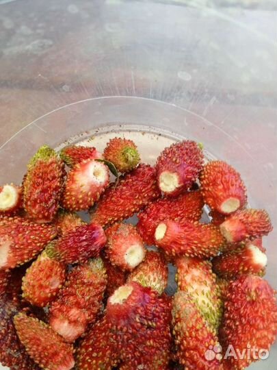 Варенье (Сладкие вкусняшки от наташки)