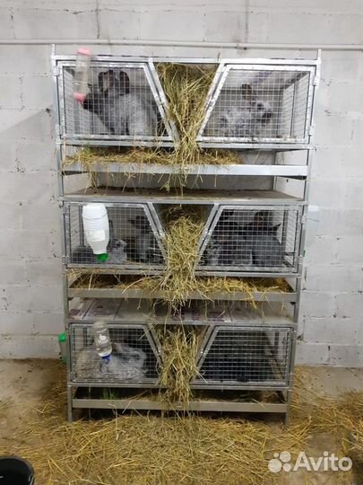 Наши удобные клетки для кроликов. С размерами.