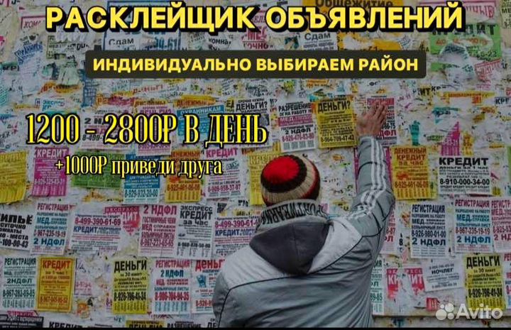 Расклейщик объявлений Энгельс