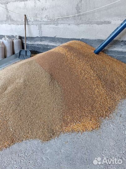 Зерносмесь для кур