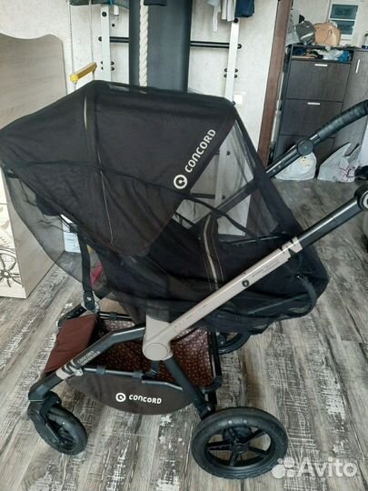 Concord Wanderer прогулочная коляска