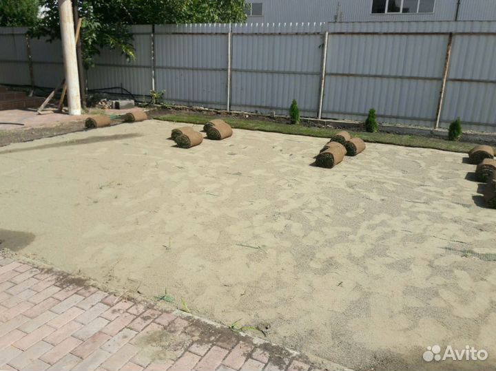 Рулонный газон 