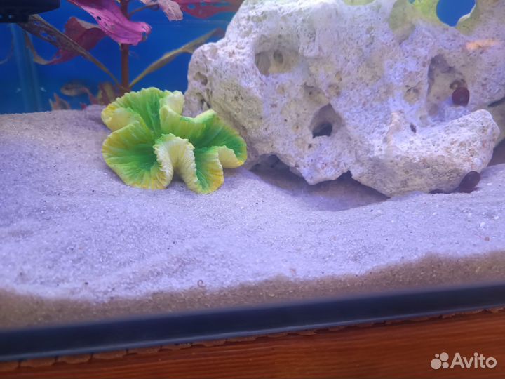 Песок для аквариума